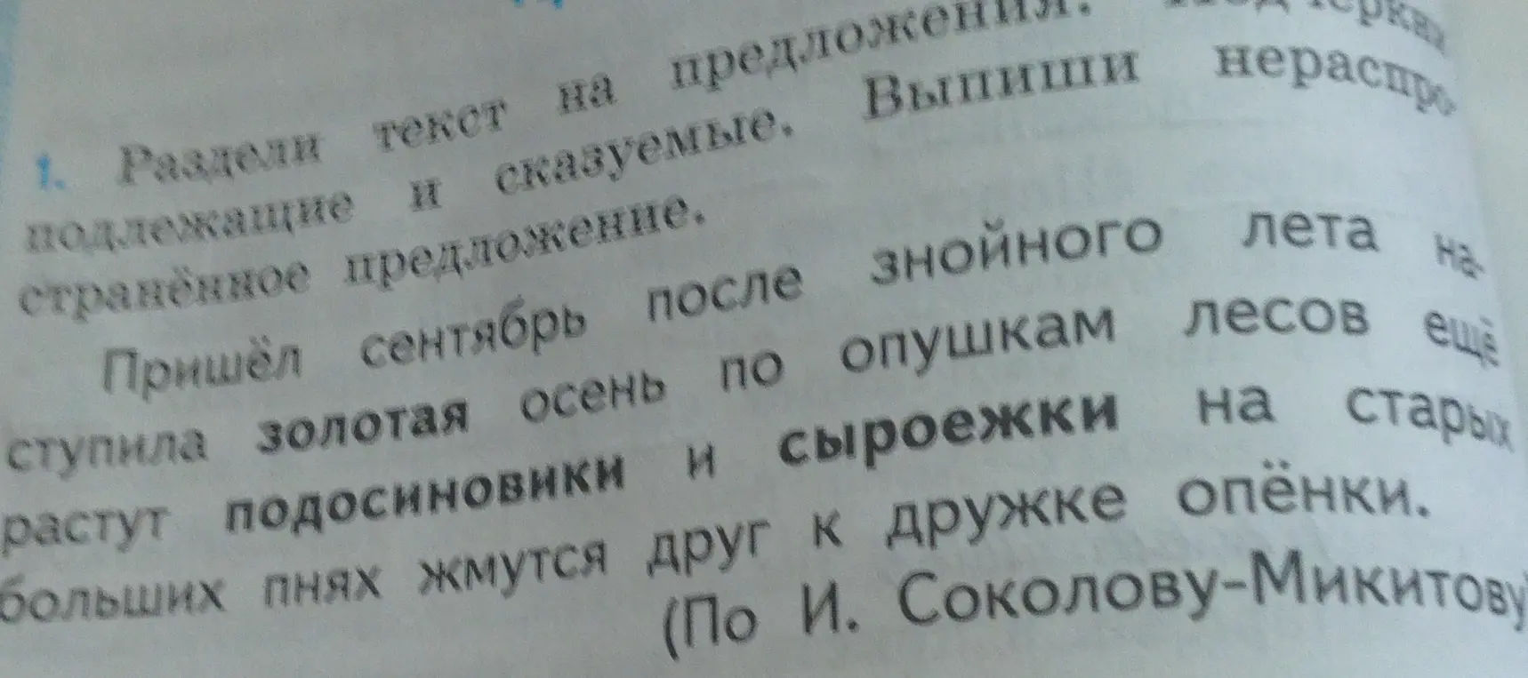Раздели текст на предложения, найди подлежащие и сказуемые, выпиши нераспространенное предложение.