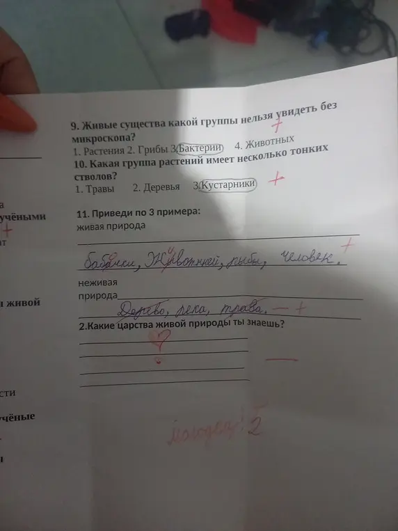 Ты отвечаешь на вопросы о живых существах, которых нельзя увидеть без микроскопа, группах растений с несколькими тонкими стволами, примерах живой и неживой природы, а также царствах живой природы.