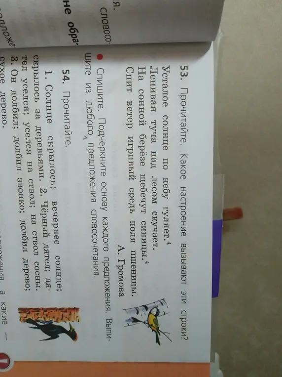 Выполни упражнения 53 и 54: в упражнении 53 определи настроение и подчеркни основу каждого предложения, а также выпиши словосочетание; в упражнении 54 прочитай текст.