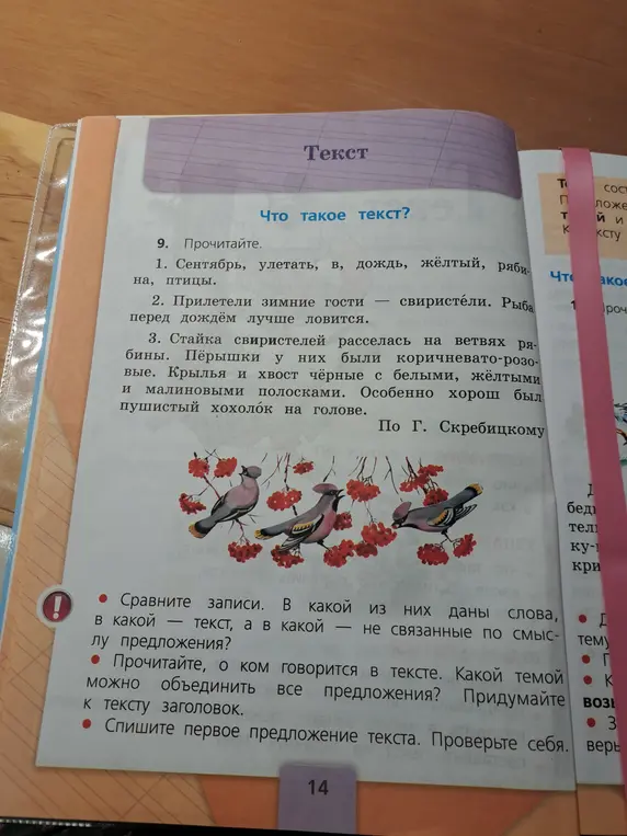 Сравни записи. В какой из них даны слова, в какой – текст, а в какой – не связанные по смыслу предложения?