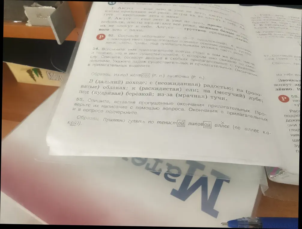 Выполни упражнение: вставь пропущенные окончания прилагательных в предложении 'Приятно гулять по тенистой липовой аллее'.