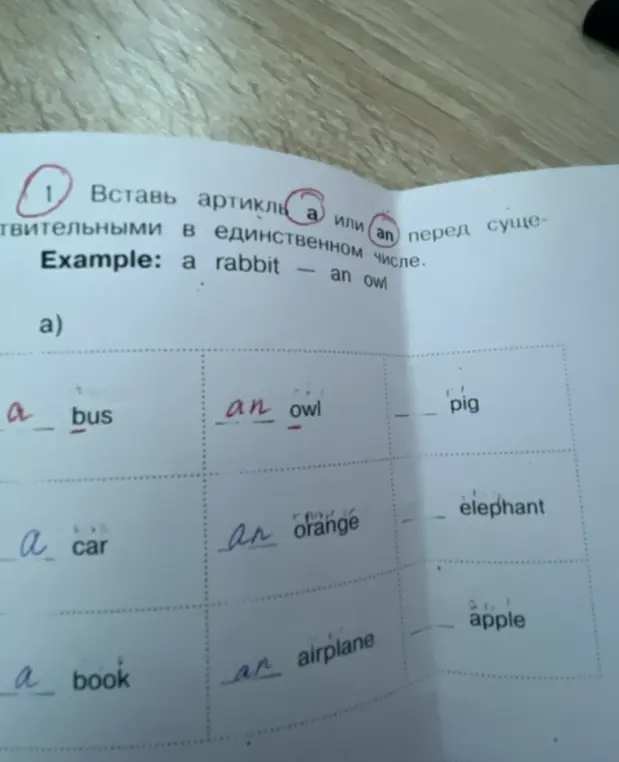 Вставь артикль a или an перед существительными в единственном числе.