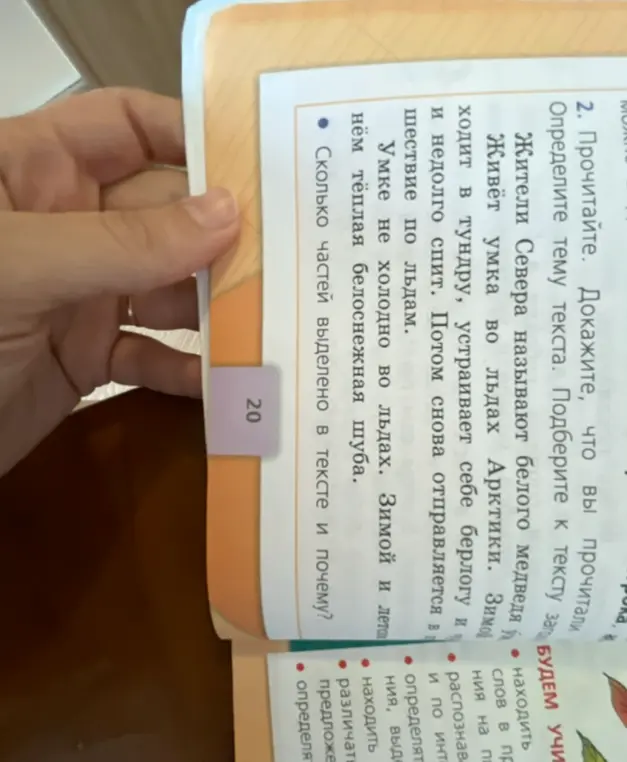 Помоги определить тему текста и посчитать количество выделенных частей в тексте про умку