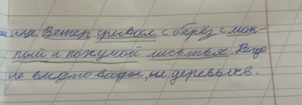Выполни синтаксический разбор предложения "Ветер срывал с берёз смоклый и пожухлый листья"