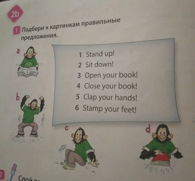 Подбери к картинкам правильные предложения.