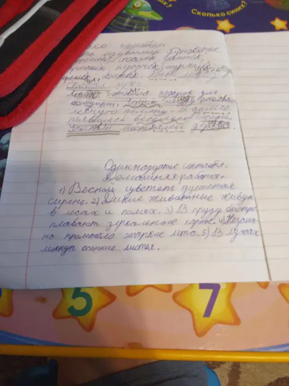 Можешь ли ты сделать орфографическую работу, синтаксический разбор предложений?