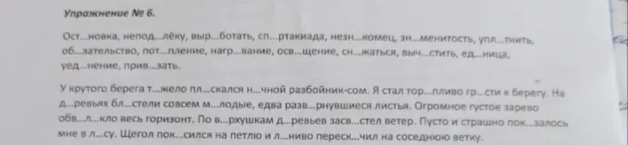 Ты просишь вставить пропущенные буквы в словах из упражнения.