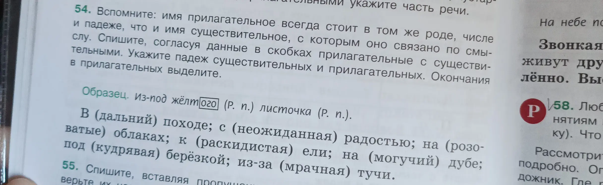 Выполни упражнение: спиши, согласуя данные в скобках прилагательные с существительными, укажи падеж существительных и прилагательных, окончания в прилагательных выдели.