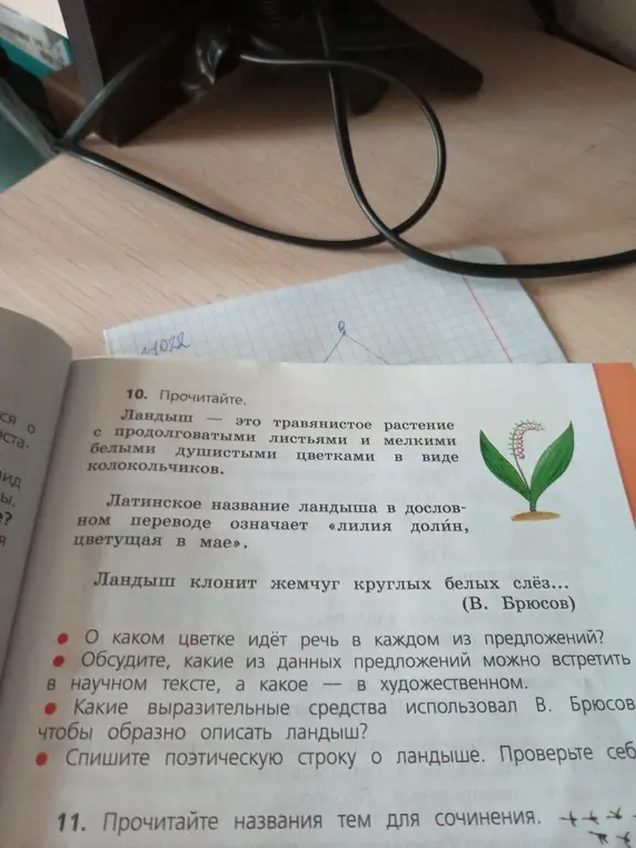 Обсуди, о каком цветке идёт речь в каждом из предложений.
