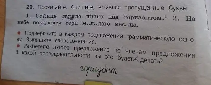 Ты просишь вставить пропущенные буквы, подчеркнуть в каждом предложении грамматическую основу, выписать словосочетания и разобрать любое предложение по членам предложения в упражнении 29 под номером 1.