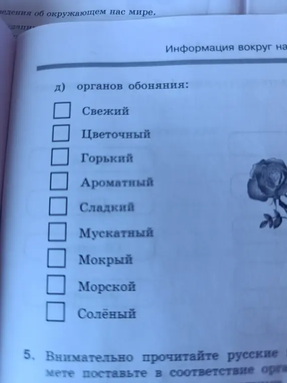 Выбери запахи, которые соответствуют органам обоняния