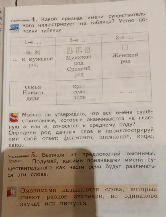 Выполни упражнение 4: определи, какой признак имени существительного иллюстрирует эта таблица и устно дополни таблицу. Ответь, можно ли утверждать, что все имена существительные, которые оканчиваются на гласную о или е, относятся к среднему роду? Выполни упражнение 5: выпиши из предложений омонимы.