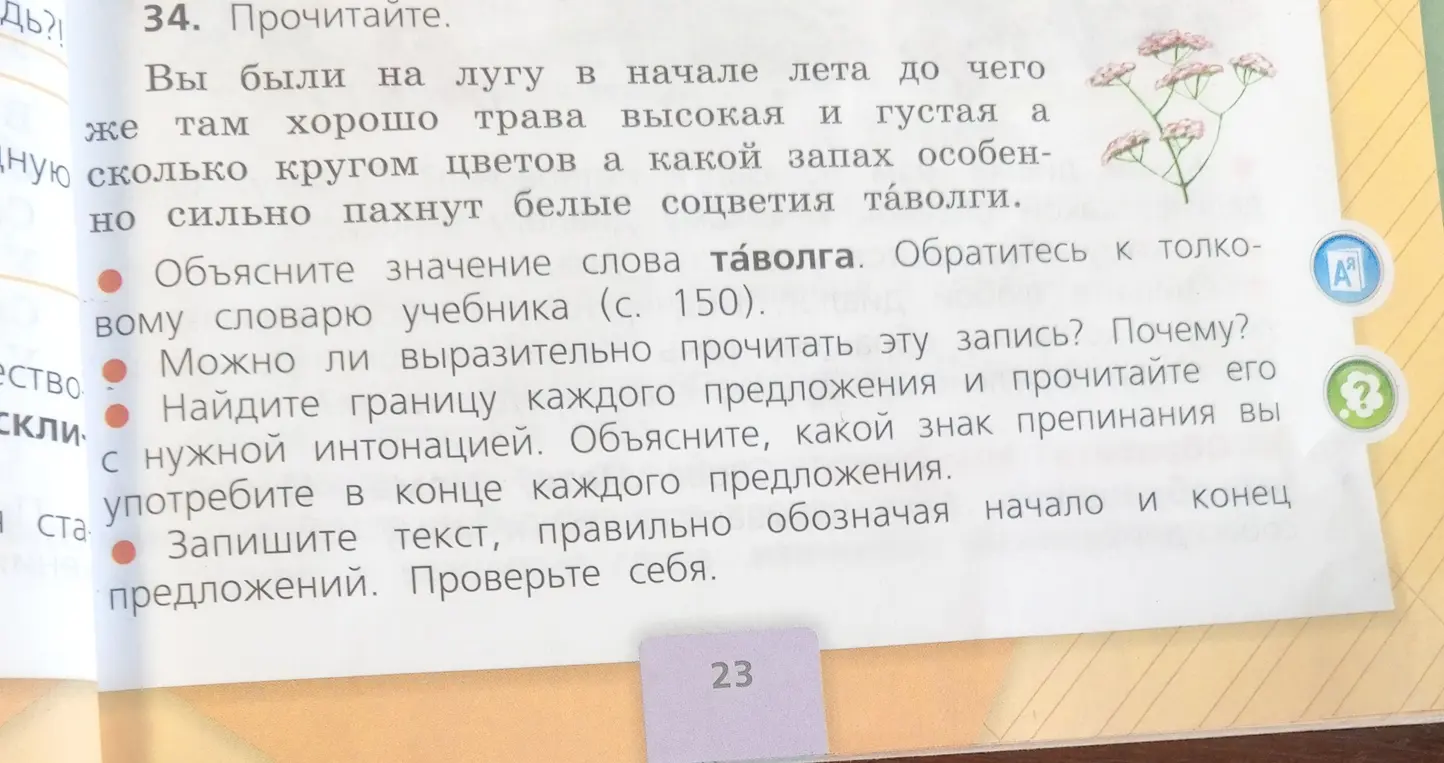Объясни значение слова таволга из текста упражнения.