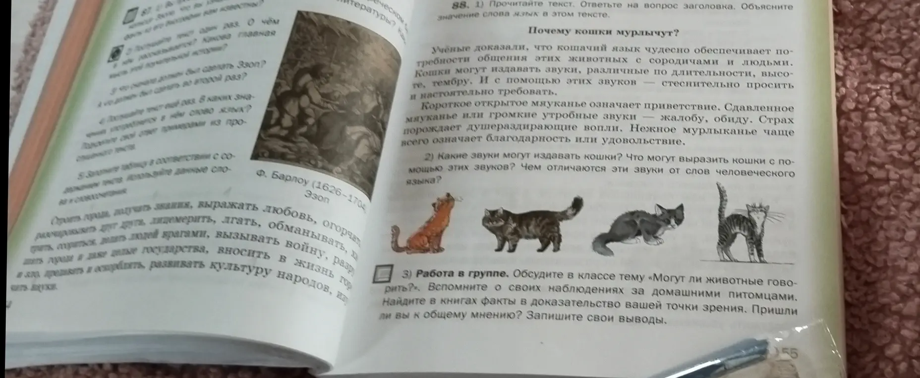 Объясни значение слова "язык" в тексте о мурлыкании кошек и перечисли звуки, которые издают кошки.