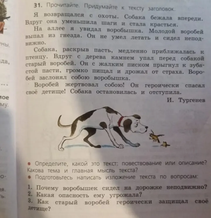 Определи тип текста, тему и главную мысль текста, а также ответь на вопросы по тексту.