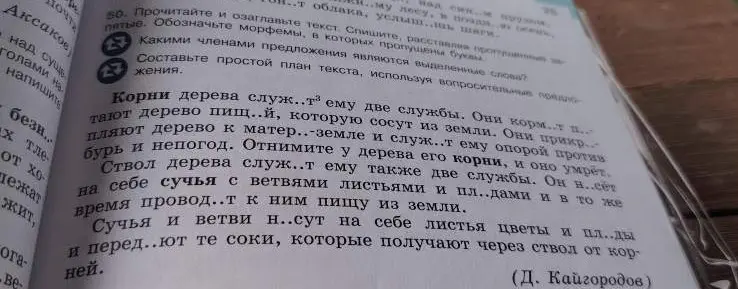 Найди пропущенные буквы и определи члены предложения в тексте про корни дерева.