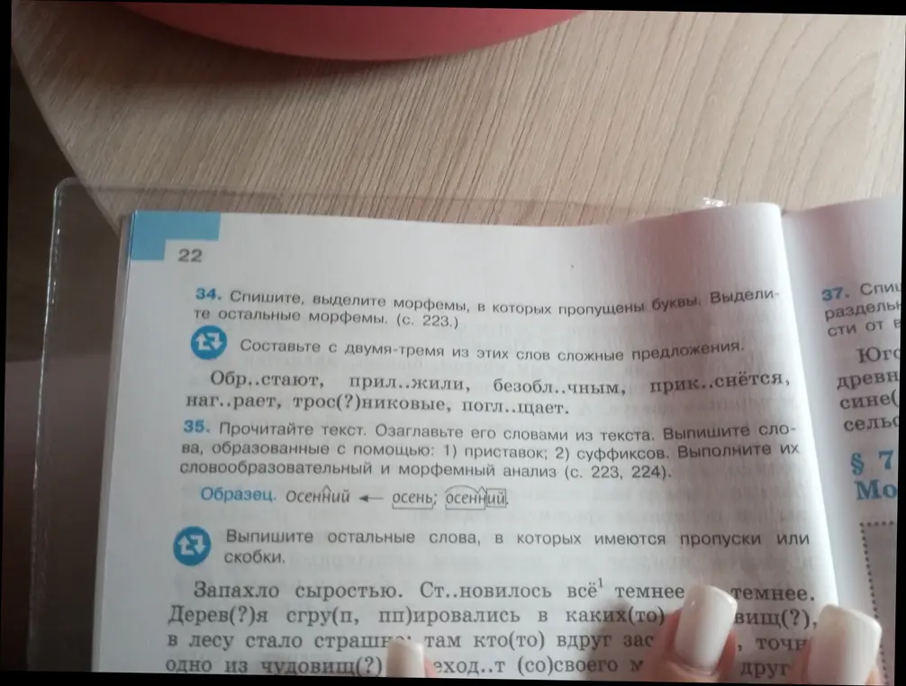 Выполни упражнения, в которых нужно вставить пропущенные буквы и выбрать нужную букву из скобок