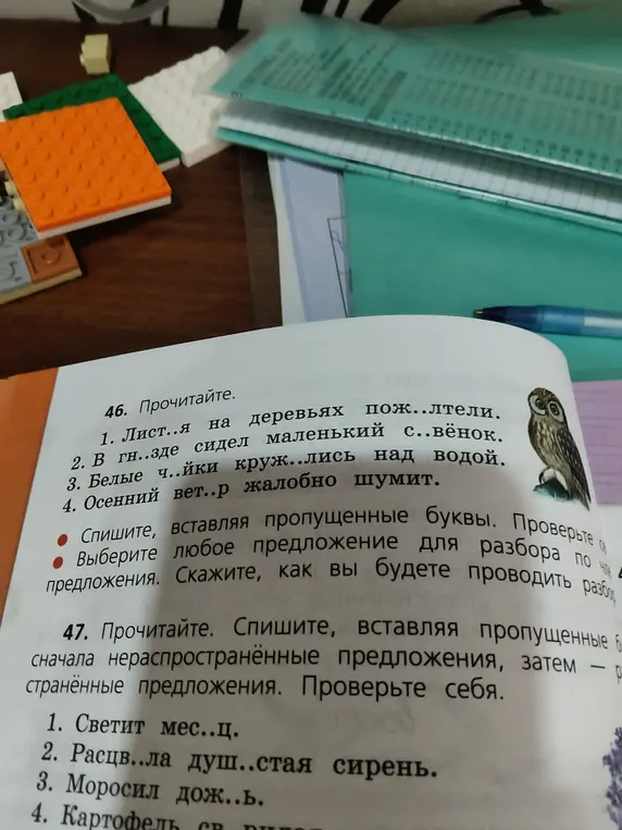 В 46 задании необходимо вставить пропущенные буквы, выбрать любое предложение для разбора по членам предложения и рассказать, как ты будешь проводить разбор предложения. В 47 задании вставить пропущенные буквы, сначала в нераспространённые предложения, затем — в распространённые.