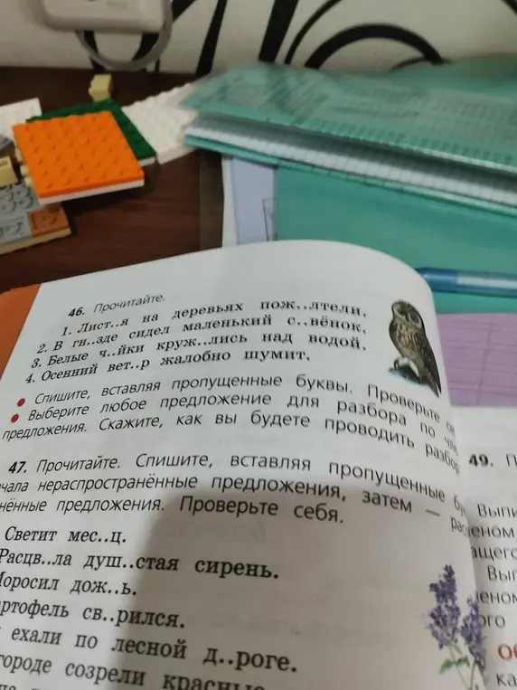 В упражнении 46 вставь пропущенные буквы.