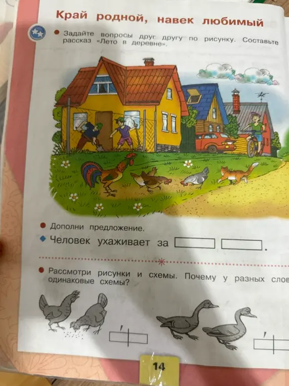 Заполни предложение: Человек ухаживает за...