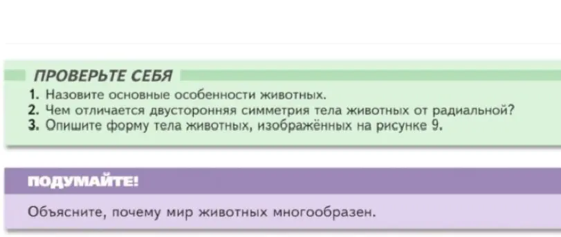 Назови основные особенности животных.