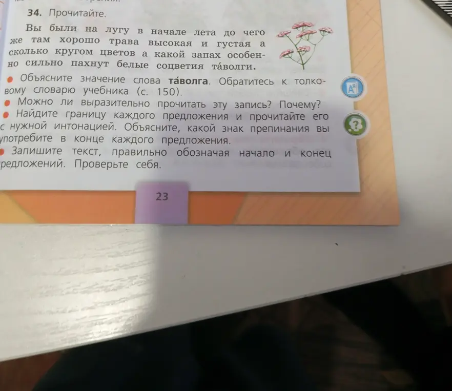 Объясни значение слова «таволга»