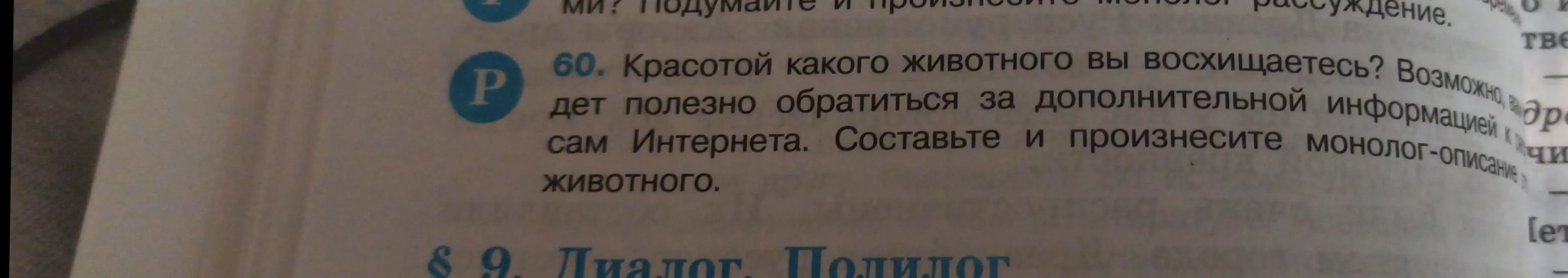 Составь монолог про гепарда