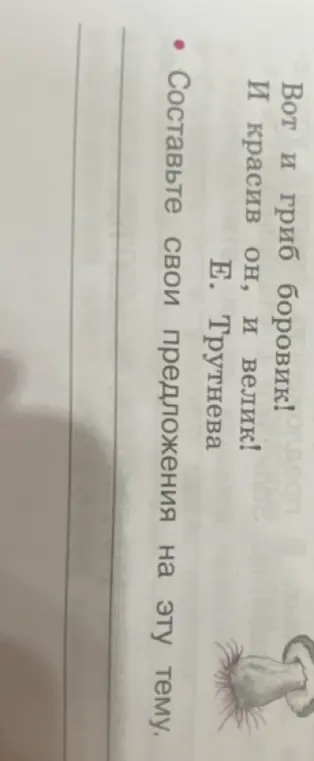 Составь предложение на тему стихотворения Е.Трутневой про гриб боровик.