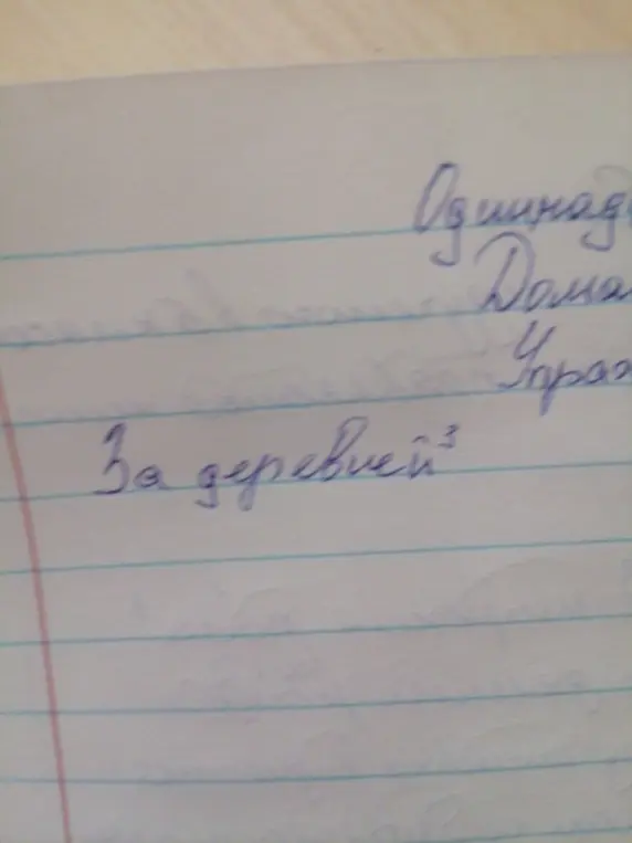 Определи склонение слова 'За деревней'