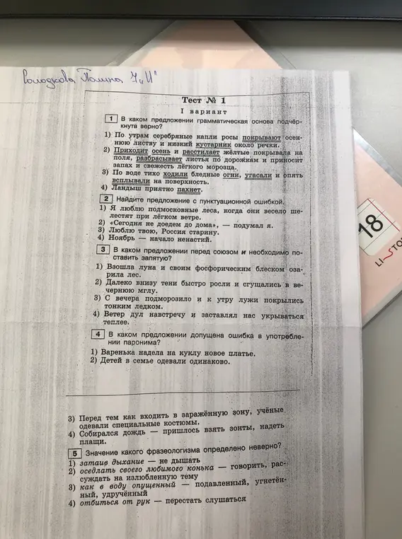 Ты просишь найти ошибки в упражнениях по русскому языку.