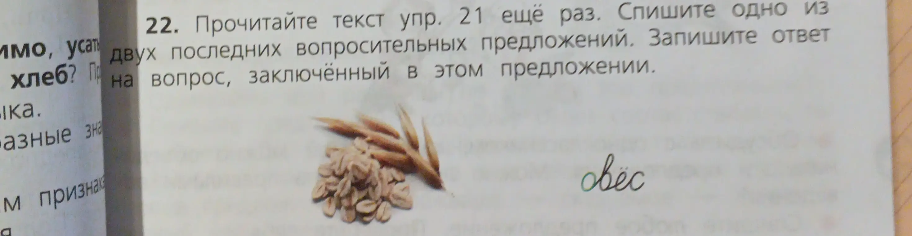 Помоги с упражнением: прочитай текст, спиши одно из двух последних вопросительных предложений и запиши ответ на вопрос, заключённый в этом предложении