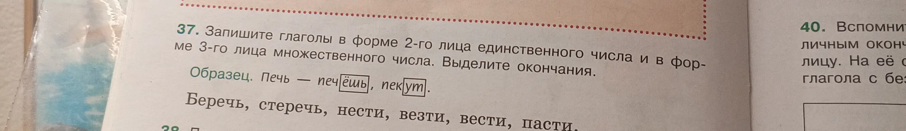 Запиши глаголы «беречь, стеречь, нести, везти, вести, пасти» в форме 2-го лица единственного числа и в форме 3-го лица множественного числа, выдели окончания