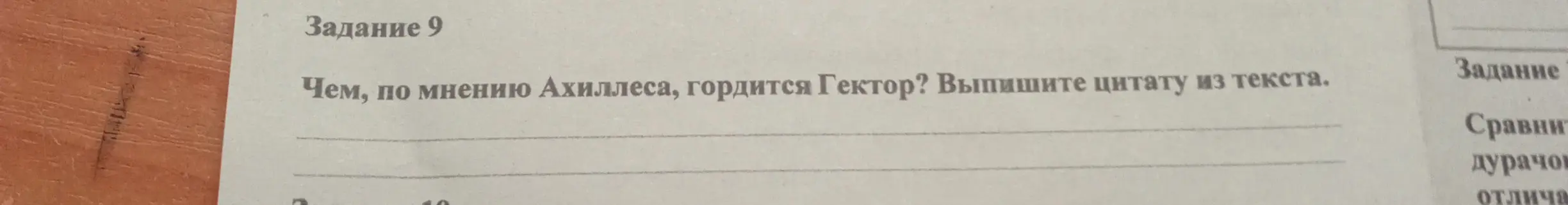 Чем, по мнению Ахиллеса, гордится Гектор? Выпиши цитату из текста.