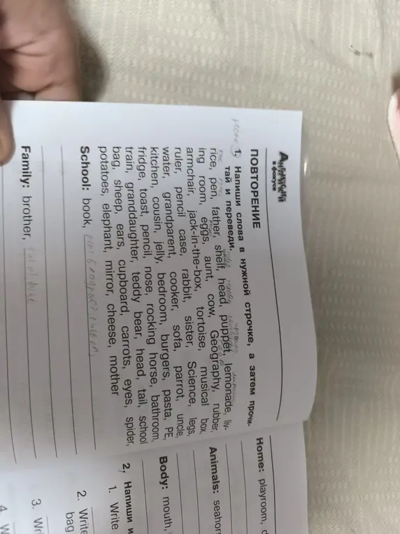 Предложи написать слова в нужной строчке и перевести