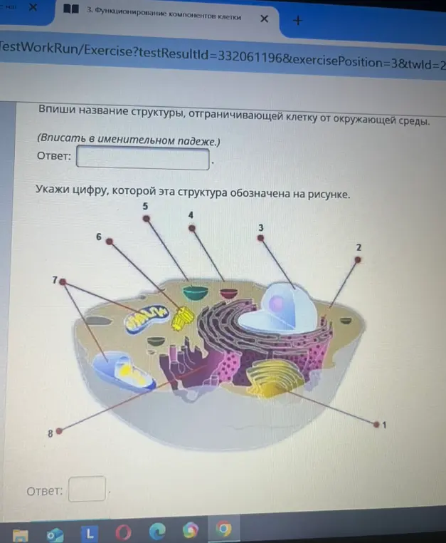 Назови структуру, отграничивающую клетку от окружающей среды и укажи цифру, которой эта структура обозначена на рисунке
