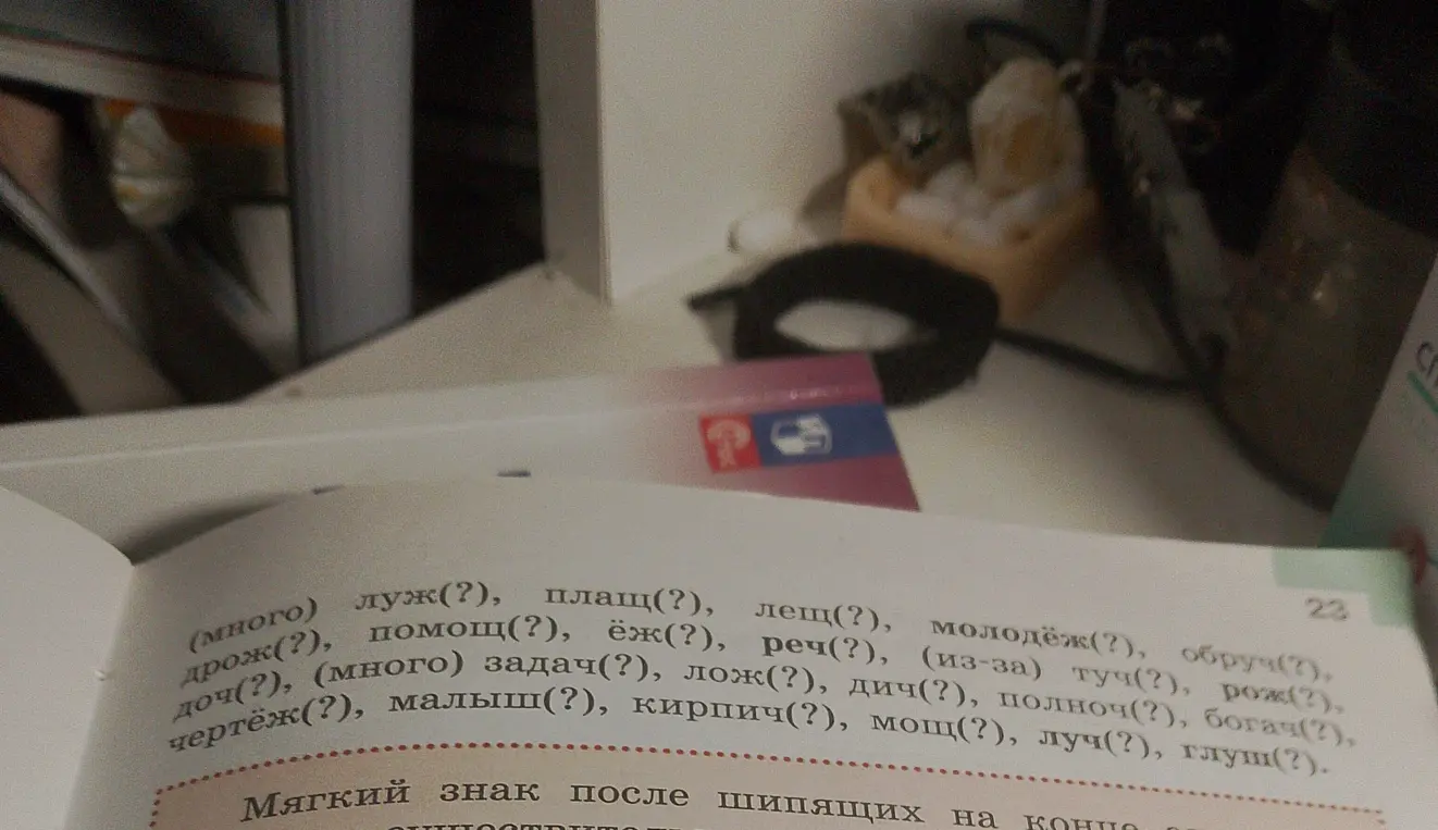 Определи, нужно ли писать мягкий знак в словах: луж(?), плащ(?), лещ(?), молодёж(?), обруч(?), дрож(?), помощ(?), ёж(?), реч(?), (из-за) туч(?), рож(?), доч(?), (много) задач(?), лож(?), дич(?), полноч(?), богач(?), чертёж(?), малыш(?), кирпич (?), мощ(?), луч(?), глуш(?).