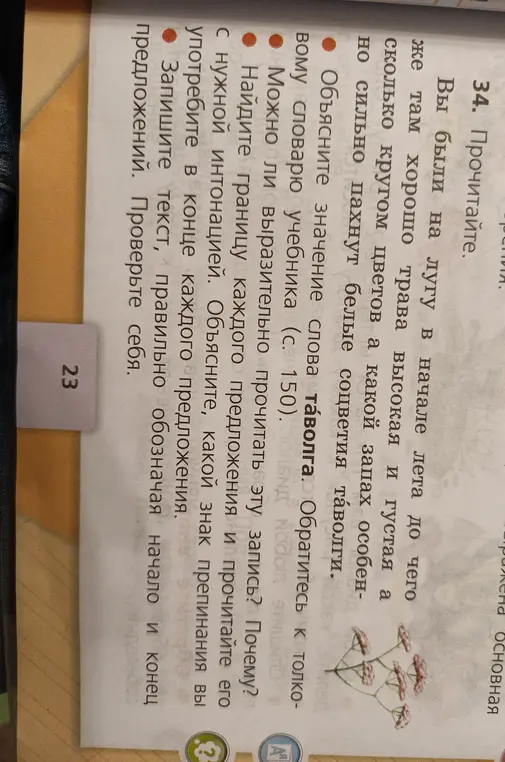 Объясни значение слова "таволга" из текста упражнения 34