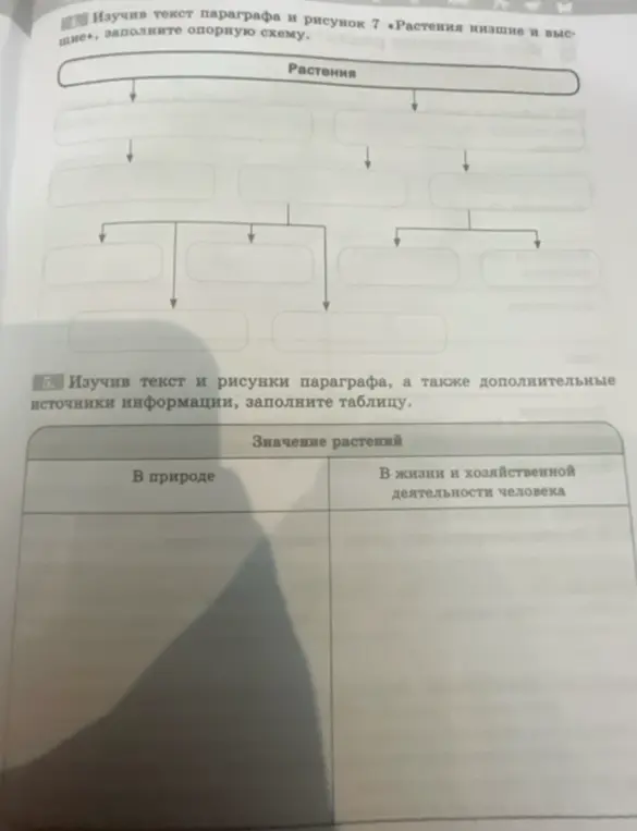 Можешь ли ты помочь мне заполнить схему и таблицу о растениях?