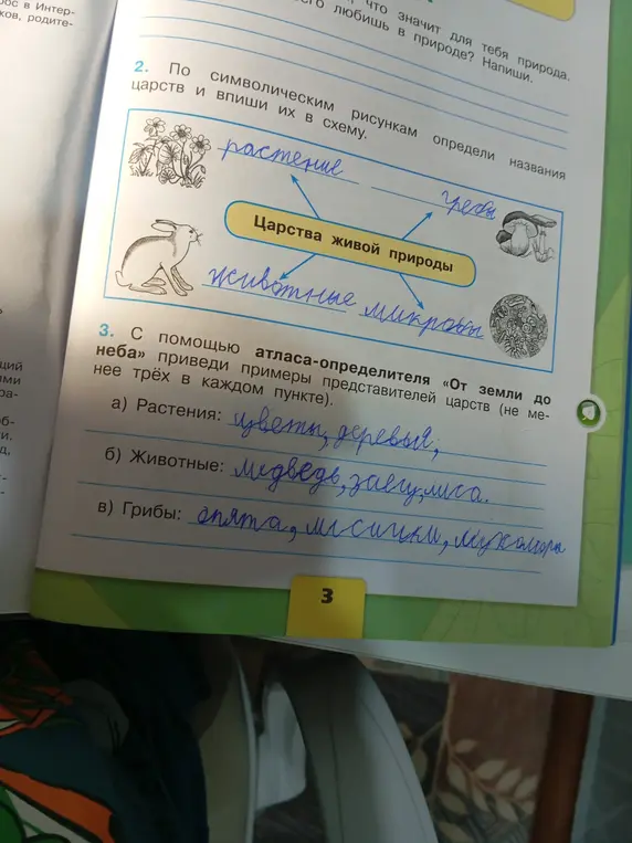 Ты просишь помочь заполнить схему по символическим рисункам и привести примеры представителей царств.