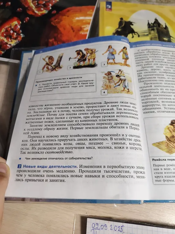 Назови правильный порядок земледельческих работ. Какие орудия использовали древние люди для занятия земледелием?