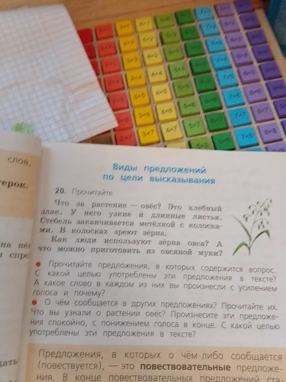Прочитай, пожалуйста, предложения: "Что за растение - овёс?" и ответь на вопросы.