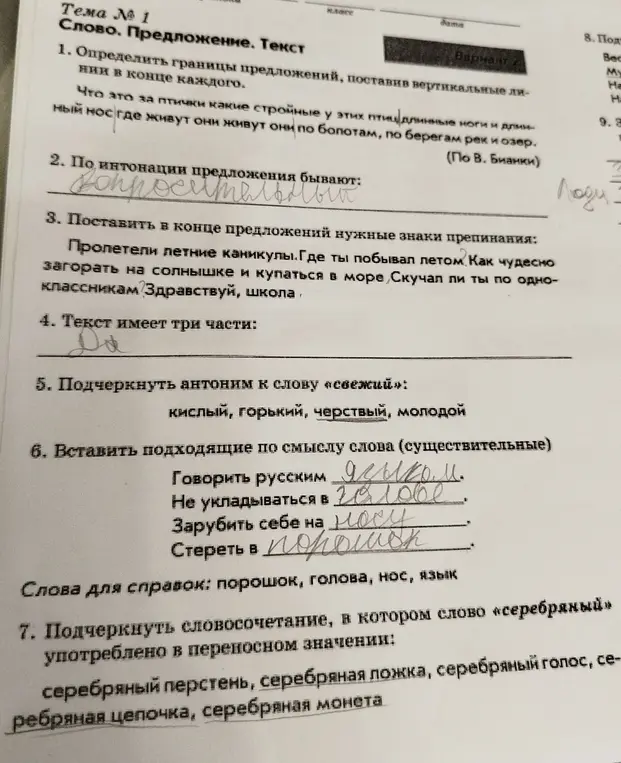Определи границы предложений, поставив вертикальные линии в конце каждого.
