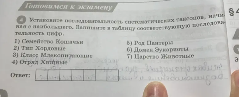 Составь последовательность систематических таксонов, начиная с наибольшего