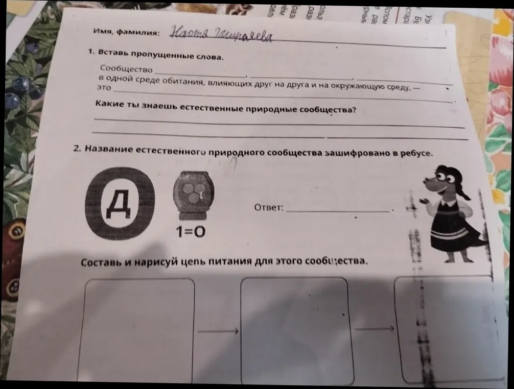 Помоги разгадать ребус, составить и нарисовать цепь питания для этого сообщества.