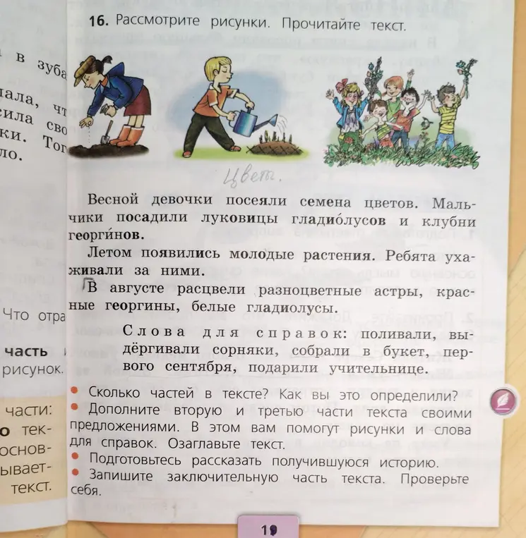 Сколько частей в тексте про цветы? Как это можно определить?