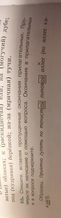 Мне нужно вставить пропущенные окончания прилагательных в упражнении.