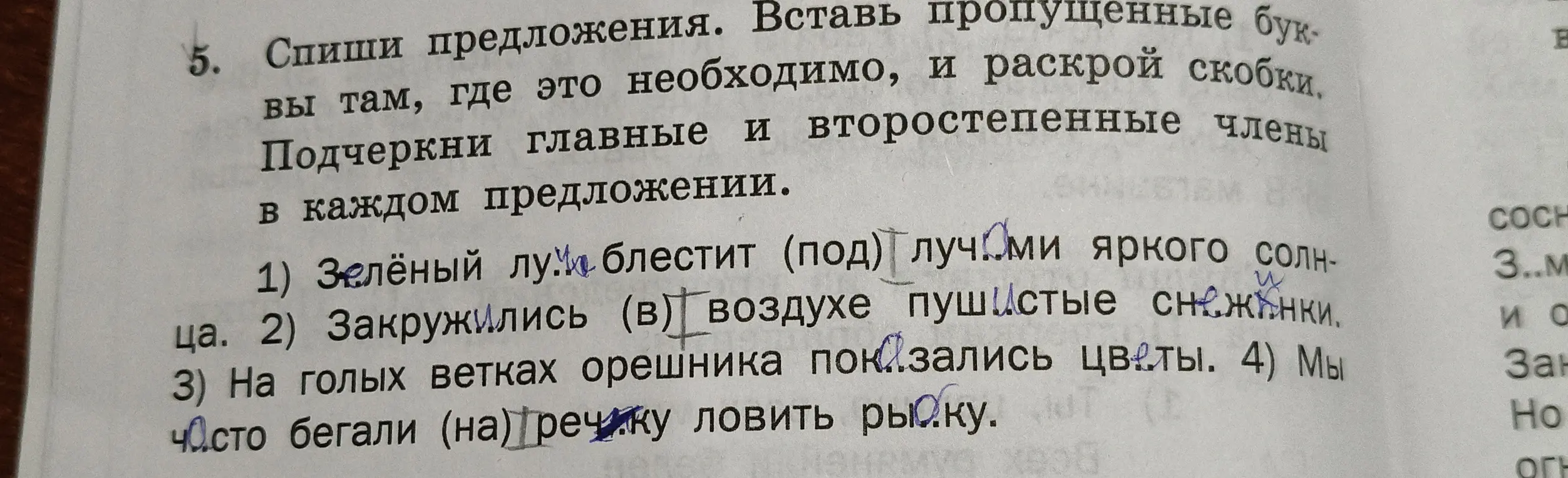 Спиши предложения, вставь пропущенные буквы и раскрой скобки. Подчеркни главные и второстепенные члены в каждом предложении.