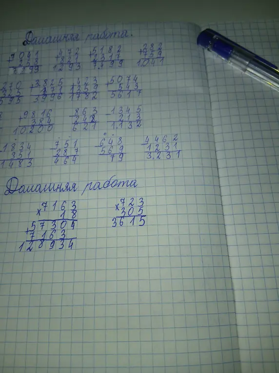 Укажи, какие ошибки ты допустил в домашней работе по математике.