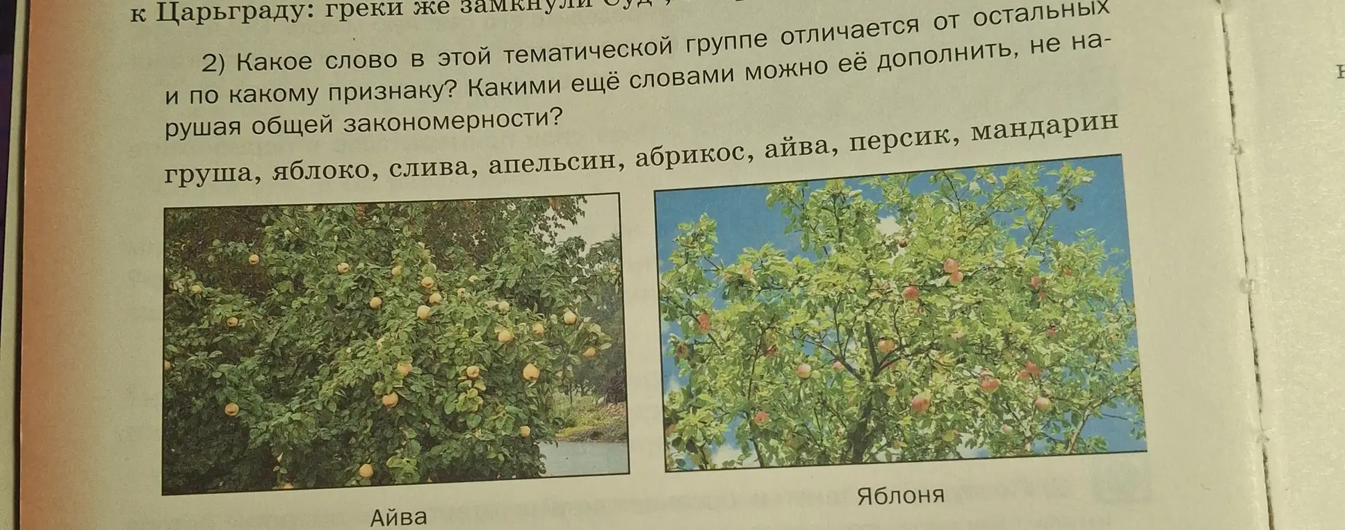 Как определить, какое слово в тематической группе (груша, яблоко, слива, апельсин, абрикос, айва, персик, мандарин) отличается от остальных и по какому признаку?