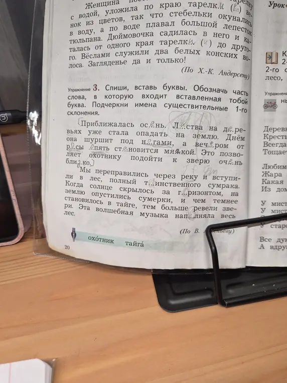 Ты просишь в упражнении 3 вставить буквы в слова и подчеркнуть имена существительные 1-го склонения.